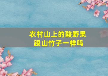 农村山上的酸野果 跟山竹子一样吗